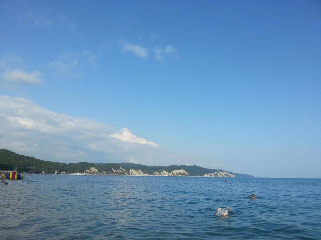 Фотографии номера Трехместный номер с видом на горы в Гостевом доме Гостевой дом Южная Пальмира Пицунда